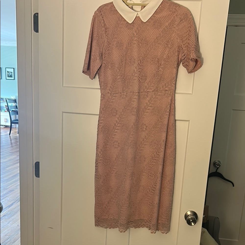 Elegant Pink Lace Dress with White Collar